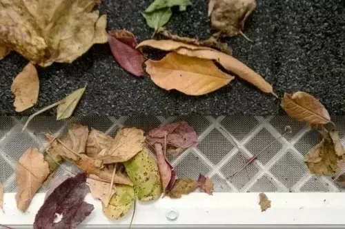 Professional gutter guard installation crew in Pittsburgh